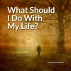 What Should I Do With My Life?